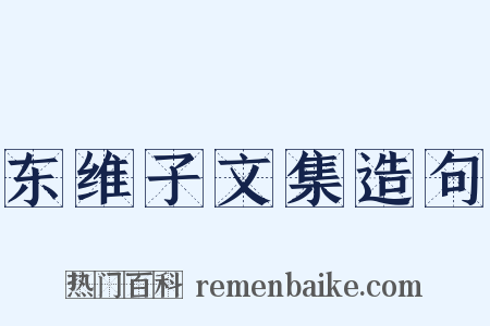 东维子文集造句是什么意思的图片